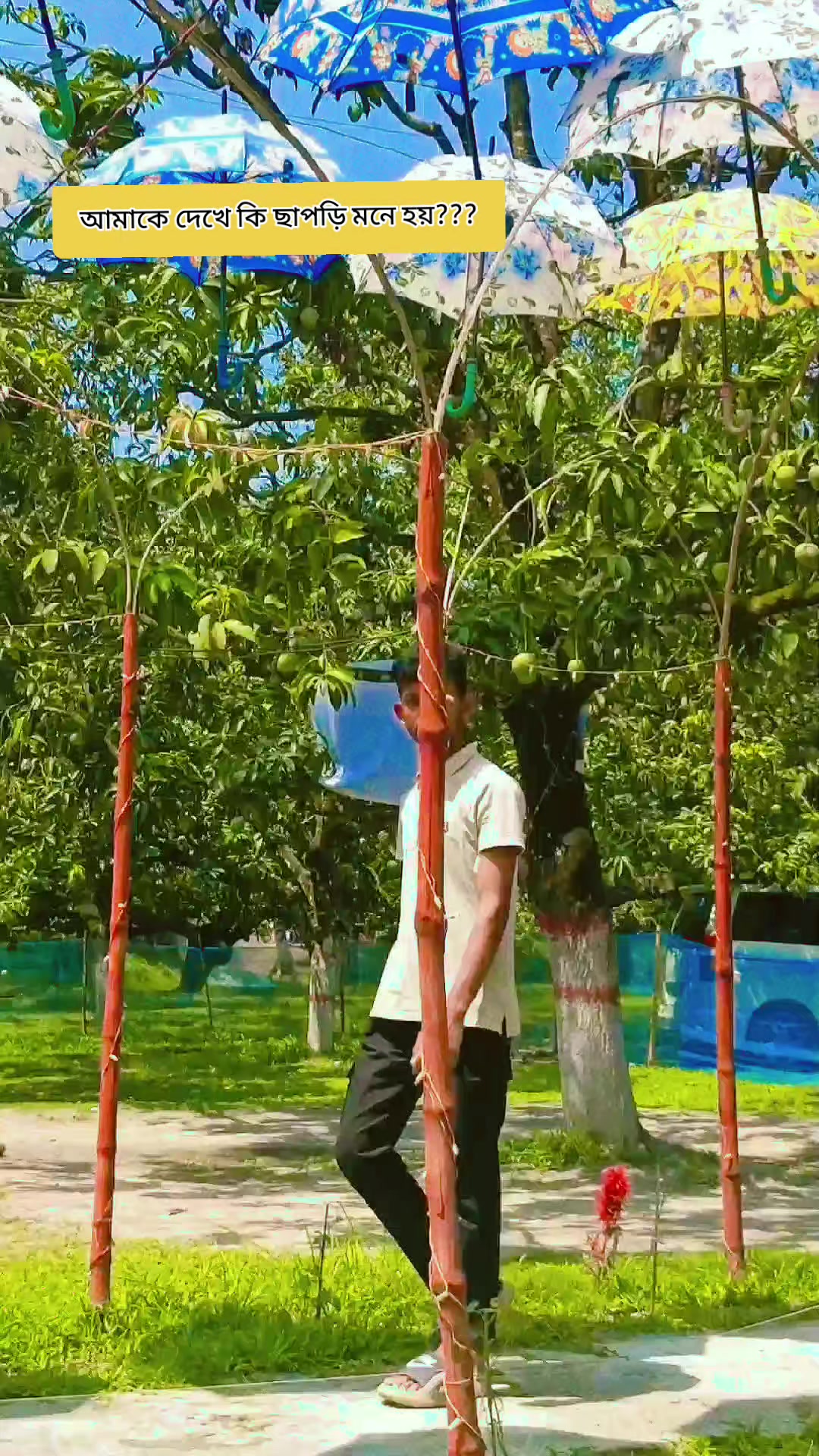 @L᷈o᷈c᷈a᷈l᷈ সেলিব্রিটি ᴮᵘˡᵇᵘˡ🐸