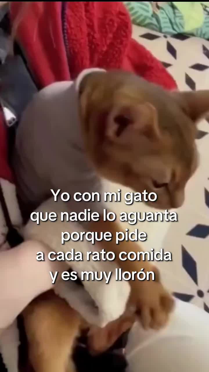 @JSantiago💛