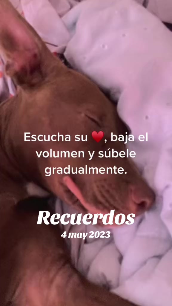 @Vivi la 🐰