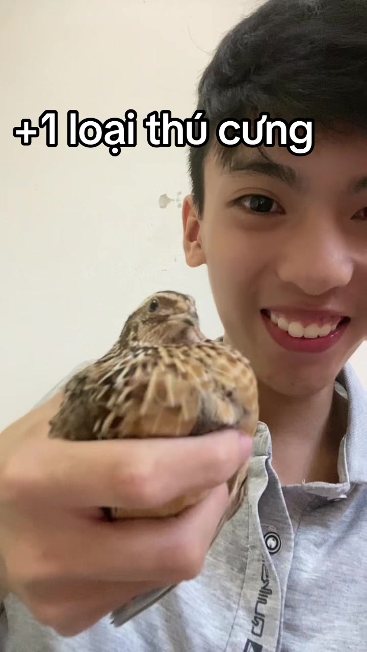 @dangvothanhgiau