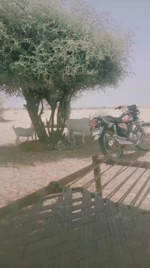 @khawar ali