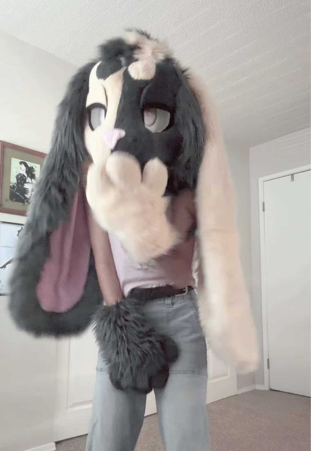 @`✮&acute; 𝘽𝙞𝙣𝙜𝙤 `✮&acute;
