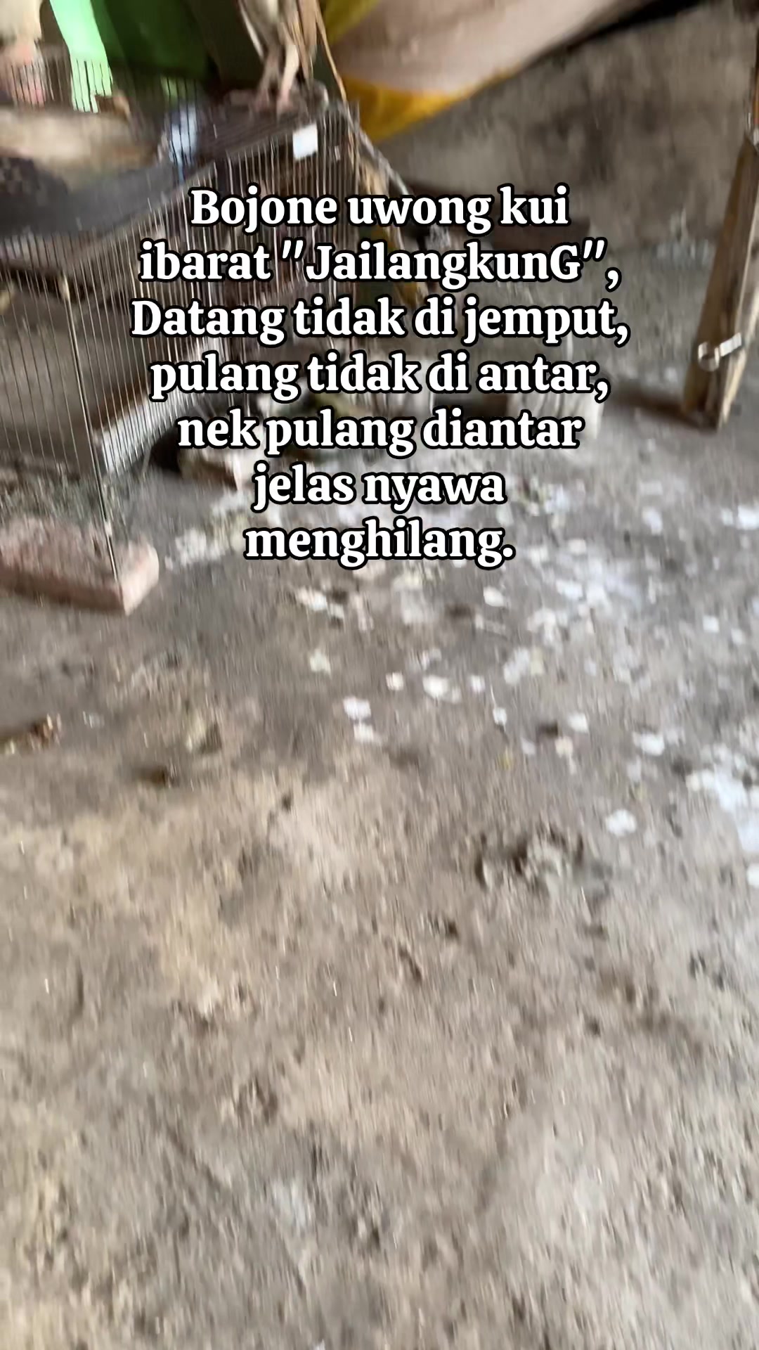 @Trafalgar D. Water Law