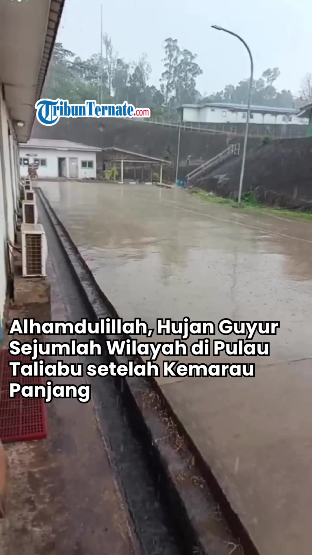 @TribunTernate.com