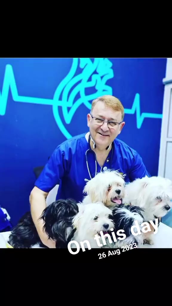 @VillagevVet LLC