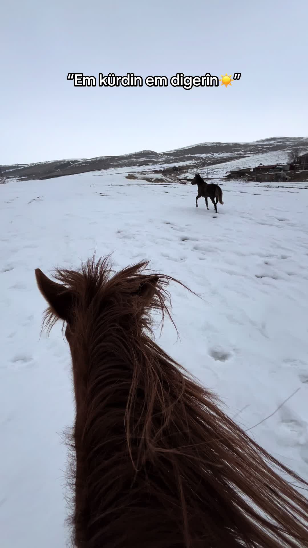 @Çekdar