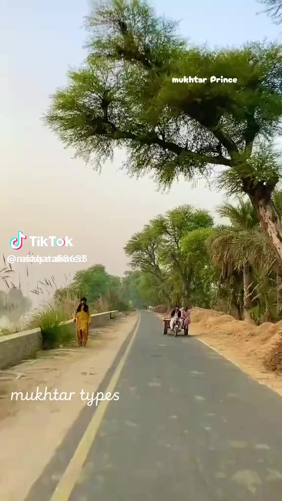 @Shumaila Akhtar