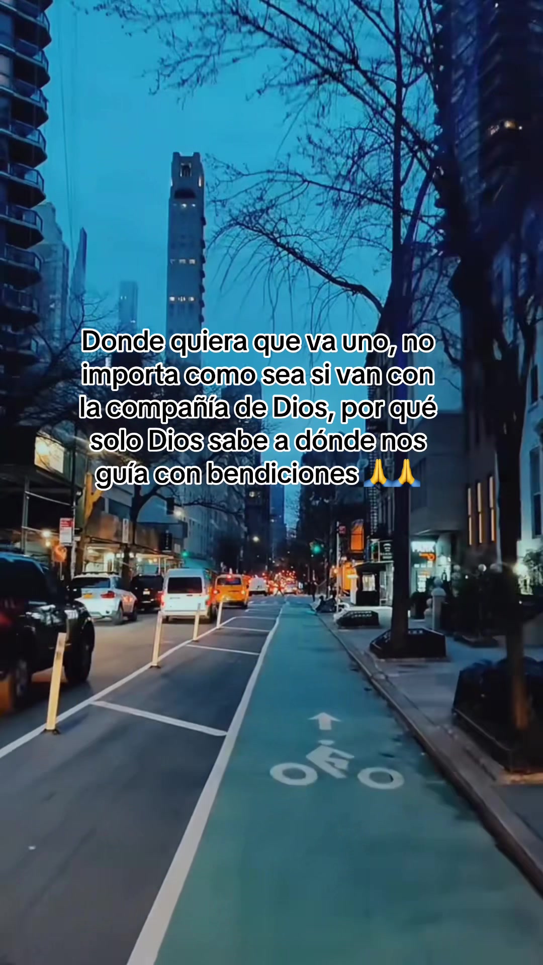 @Lucy Reyes