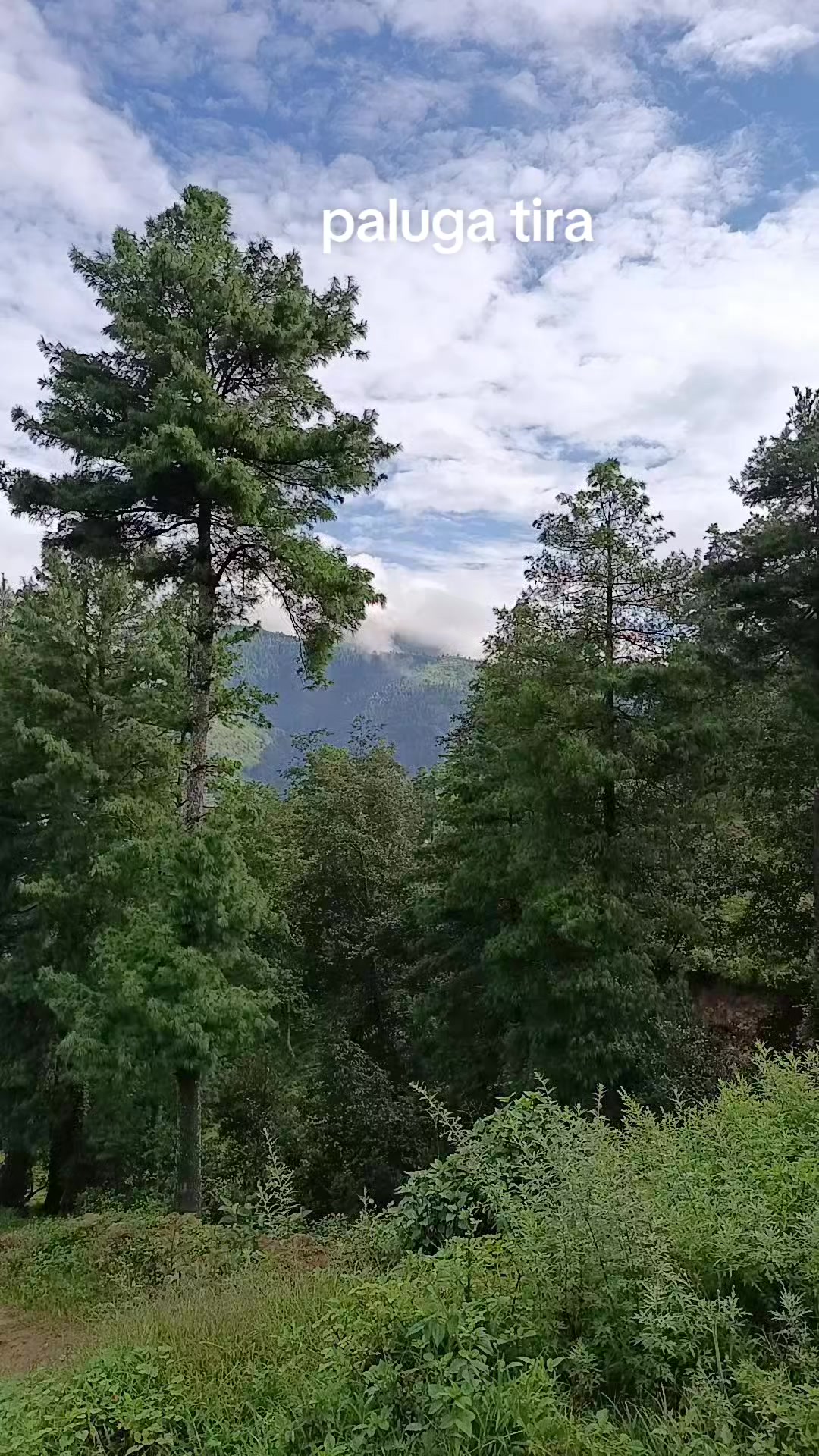 @Krishna Mainali