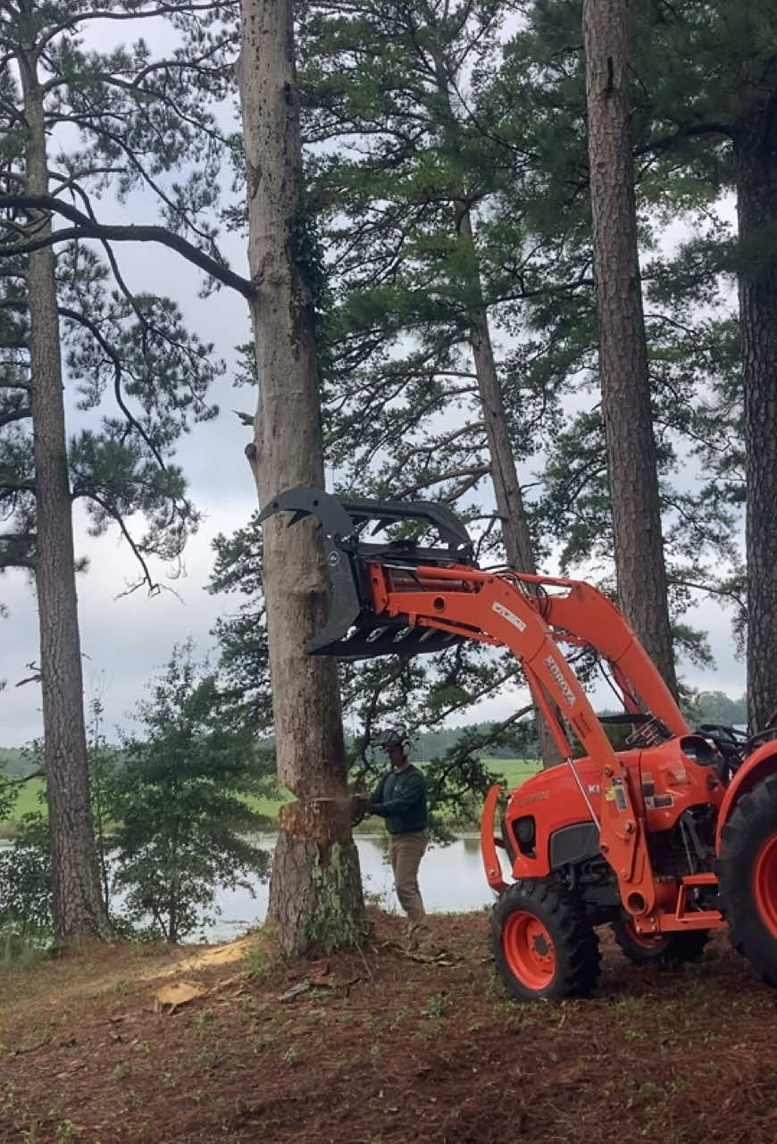 @The Tree Assassins