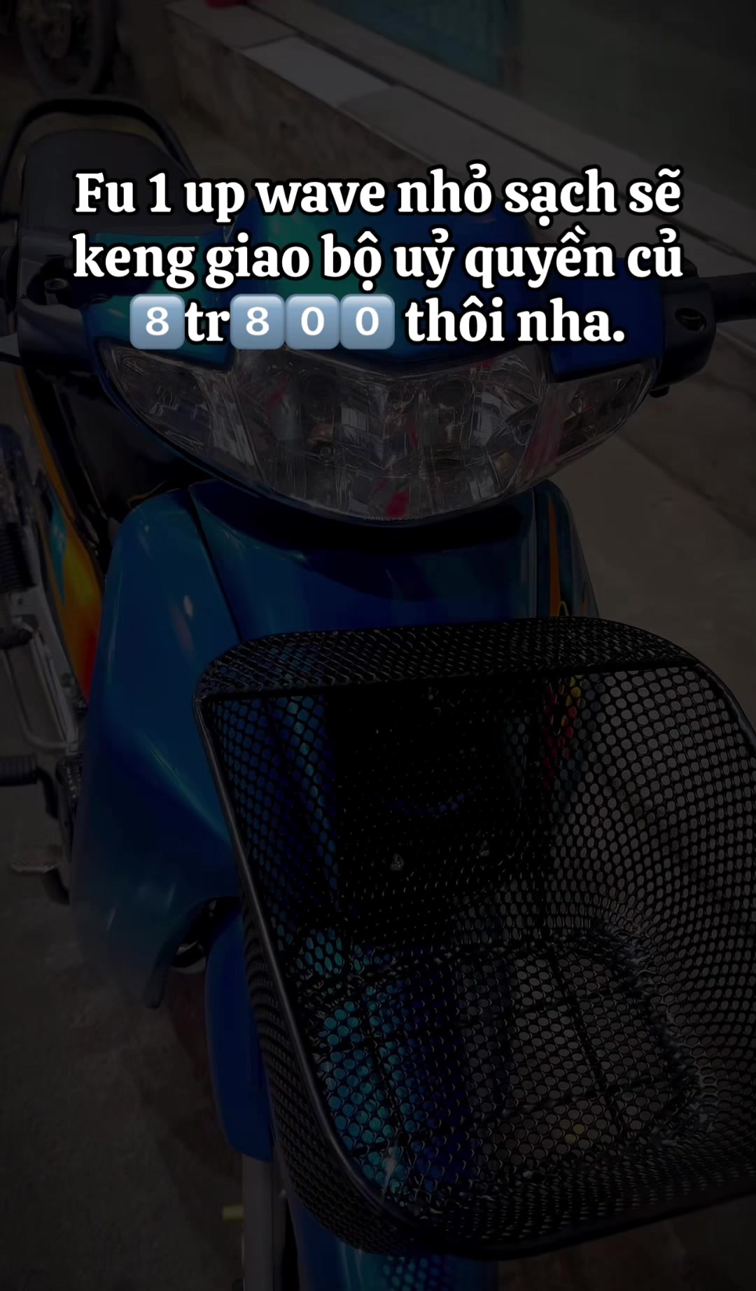 @Minh Huấn Shop ✅