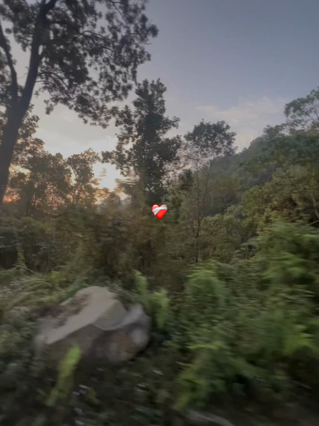 @रोहित 