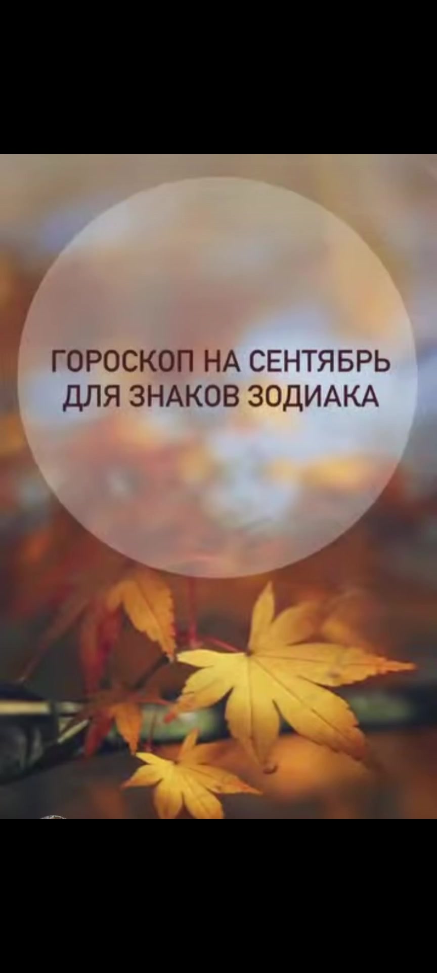 @TaroDiva💫