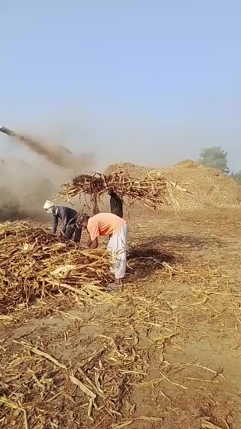 @چوہدری ایگرو سروس