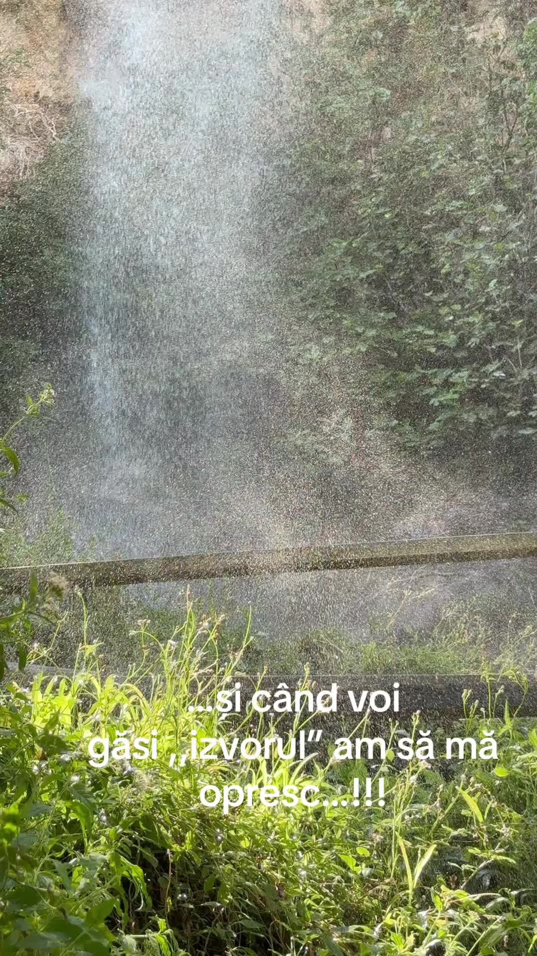 @kayamotokayusan