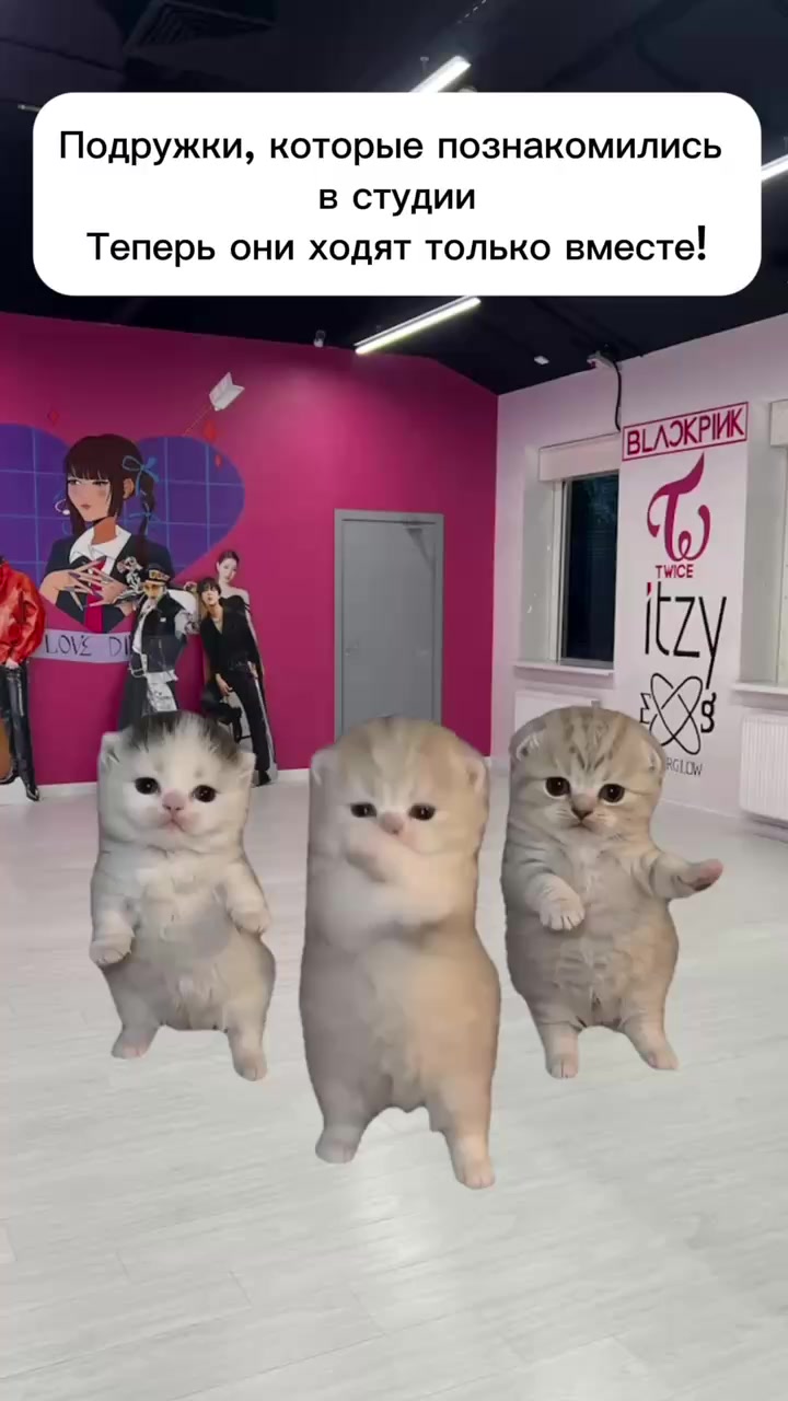 @KITSUNEKPOP