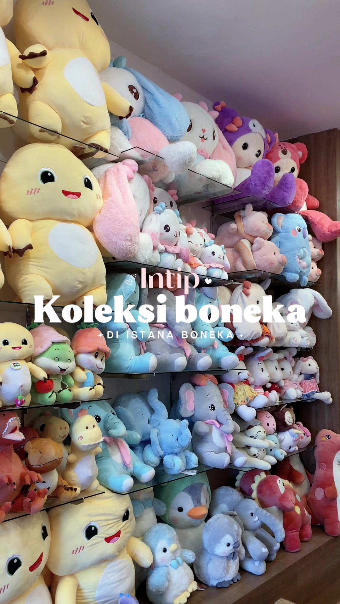 @isbonbali