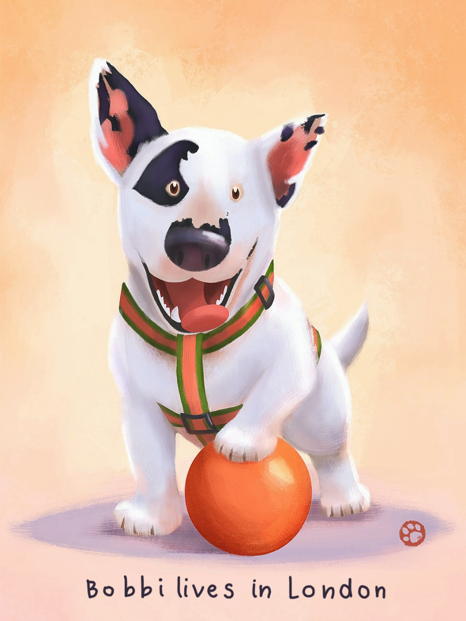 @Mr.Gin & Alex | Pet Portraits