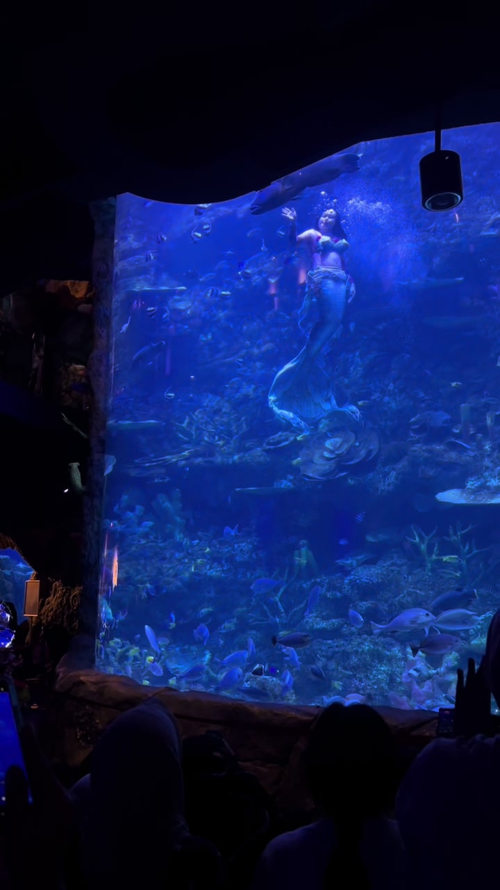 @Mermaid Cryztal