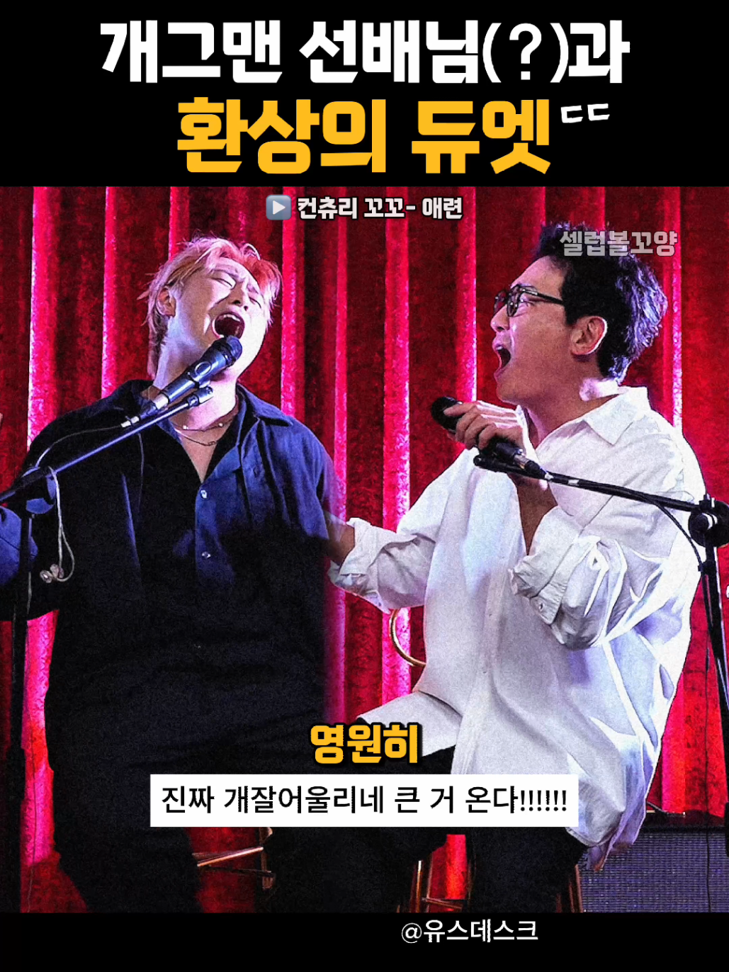@셀럽볼꼬양