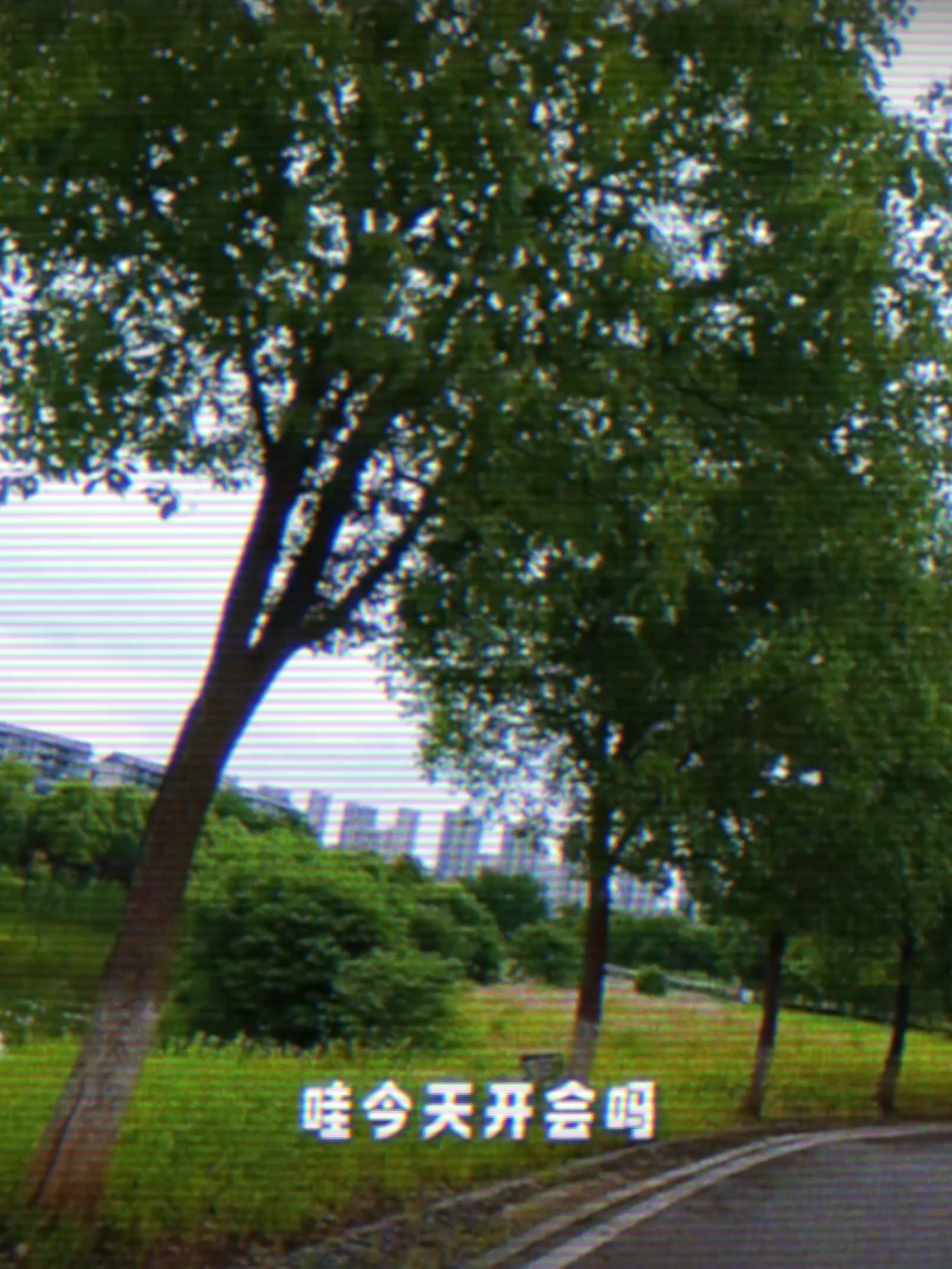 @🌤Tiểu Vương Bá 🐧🐧