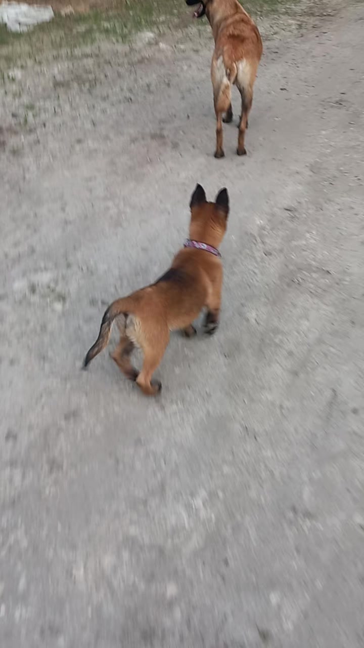 @Євгенія Ізерт
