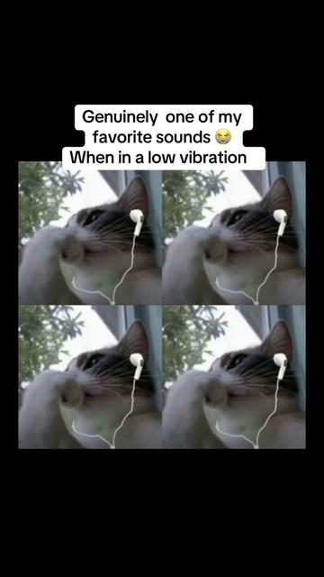 @drealswizard