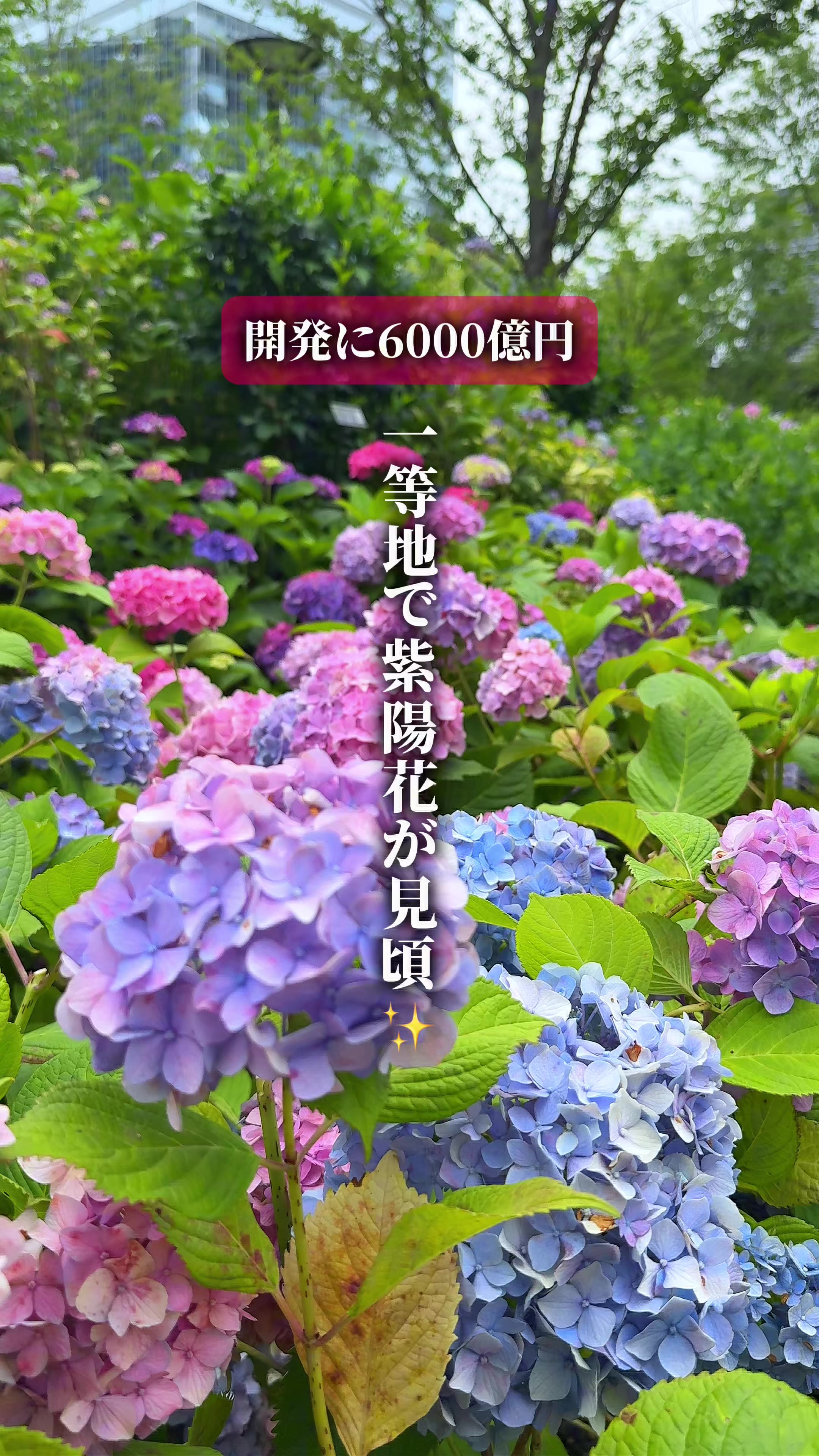 @ひろと / 大阪発！関西トレンド独占旅🔥