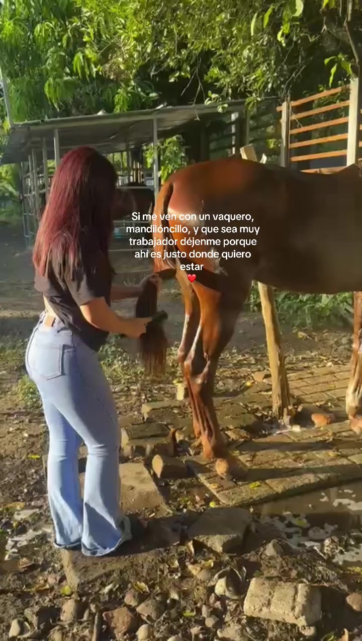 @Alain Tovar
