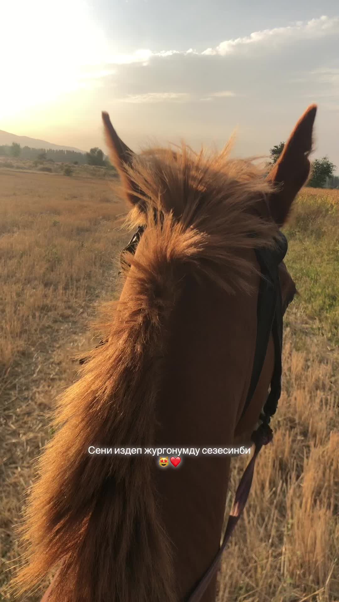 @Kadyshov