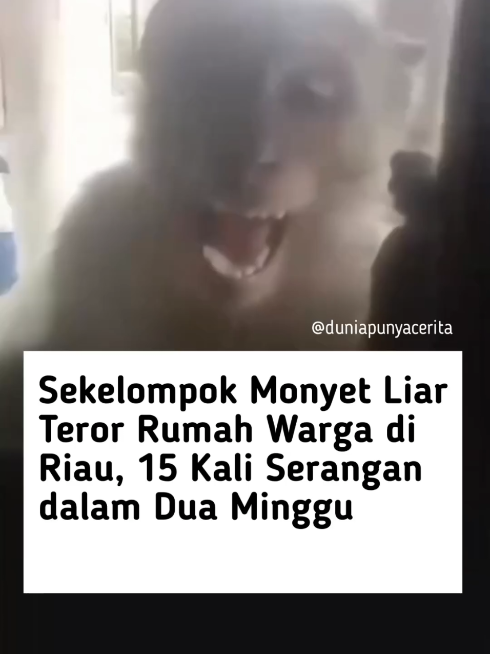 @Dunia Punya Cerita