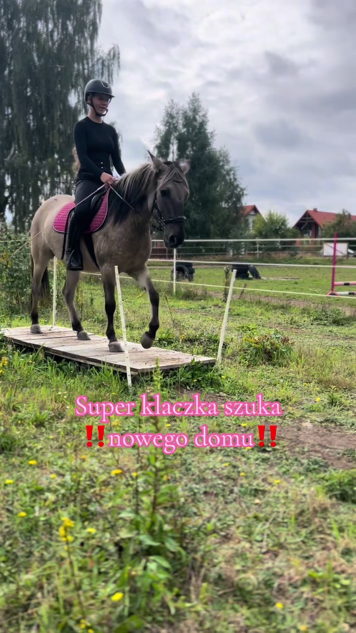 @Stajnia Miejsce Rozwoju