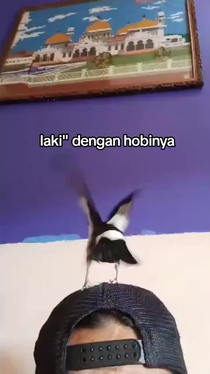 @Yuda Nugraha
