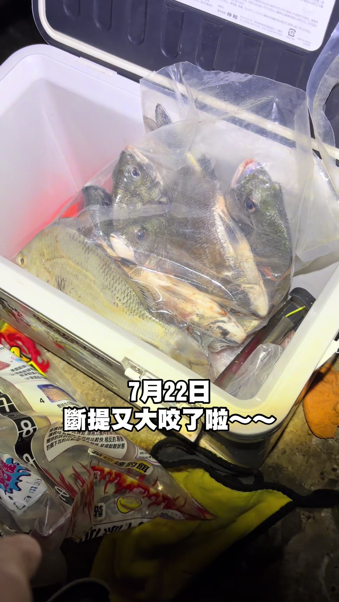 @◈꧁ 豪小子꧂◈