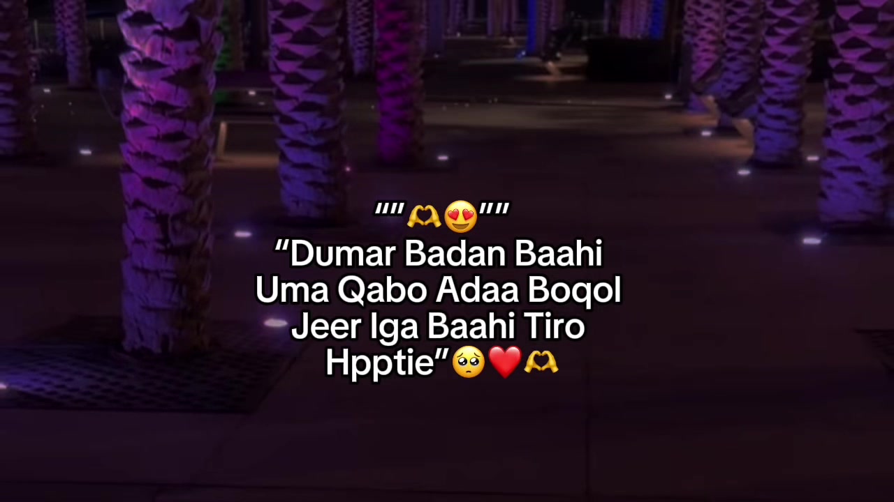 @Kyz.0🚩