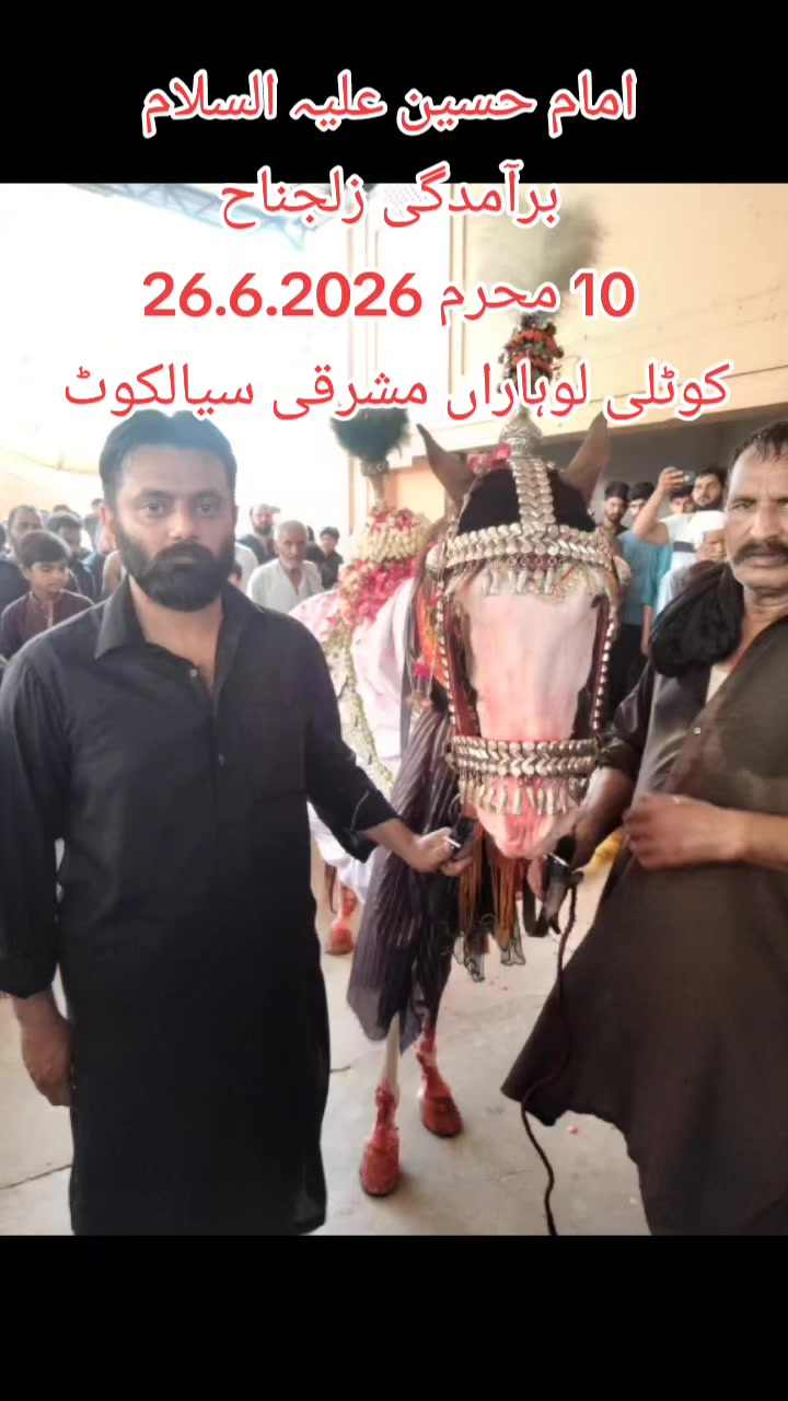 @Malik Ibrahim Pti 804