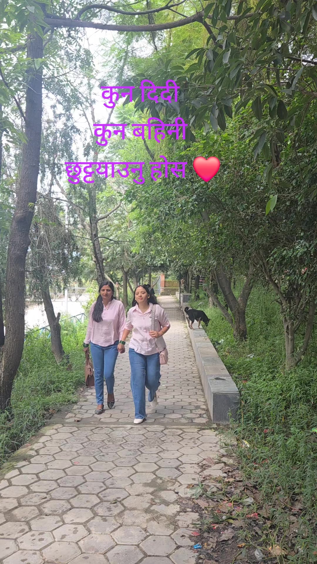 @Shanti Luitel