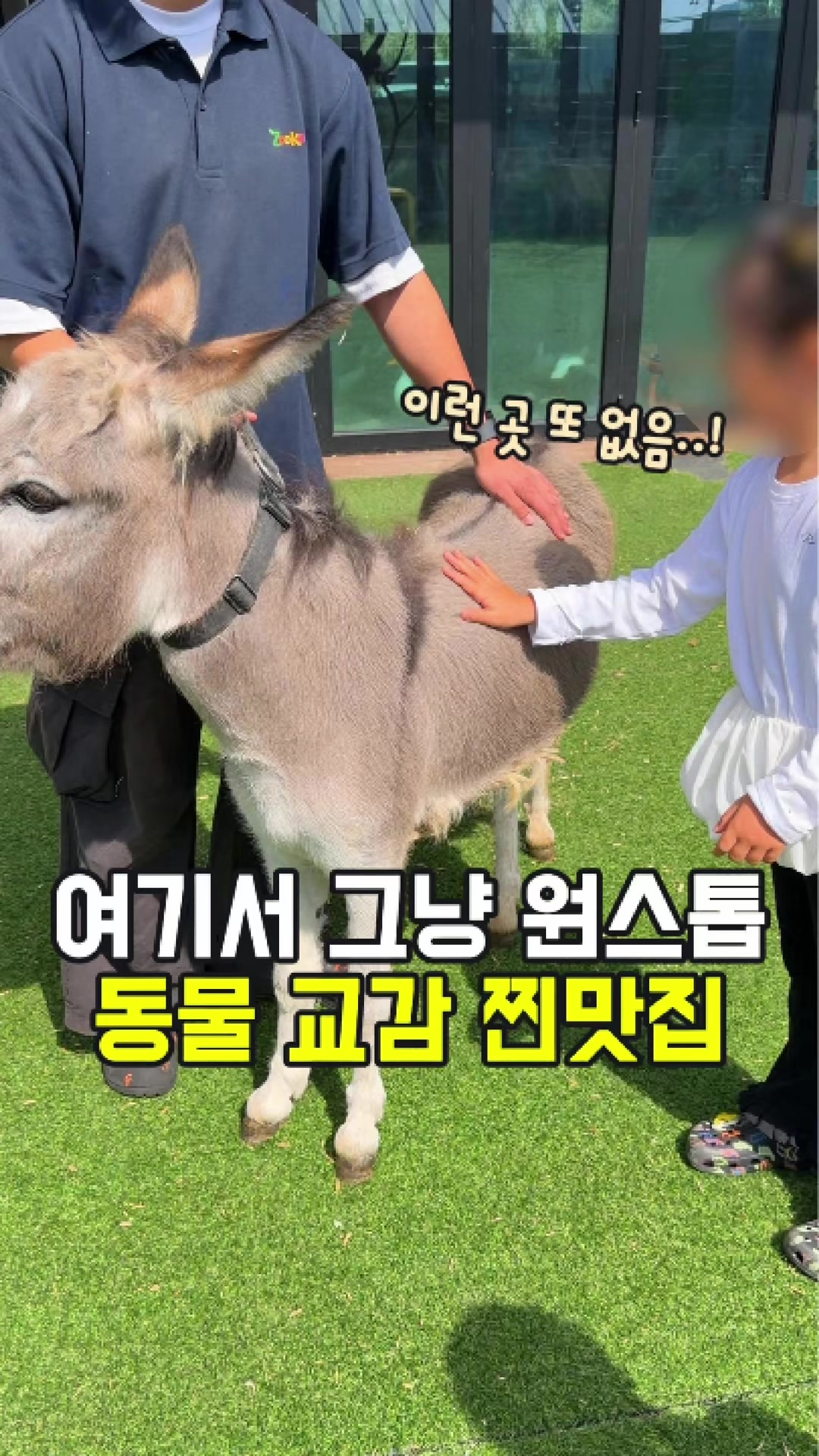 @대전토박이