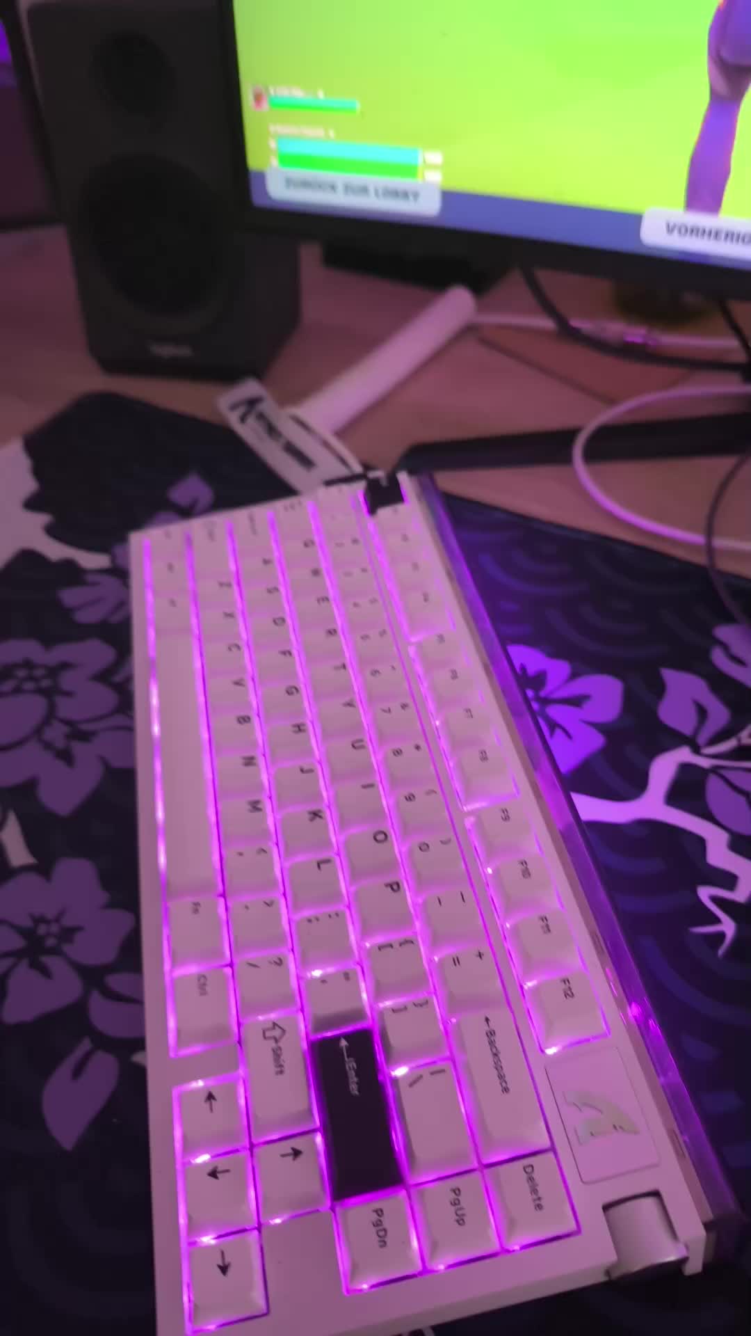 @๐๐ฎ๐๐๐๐๐ ๐ฏ๐ด ๐