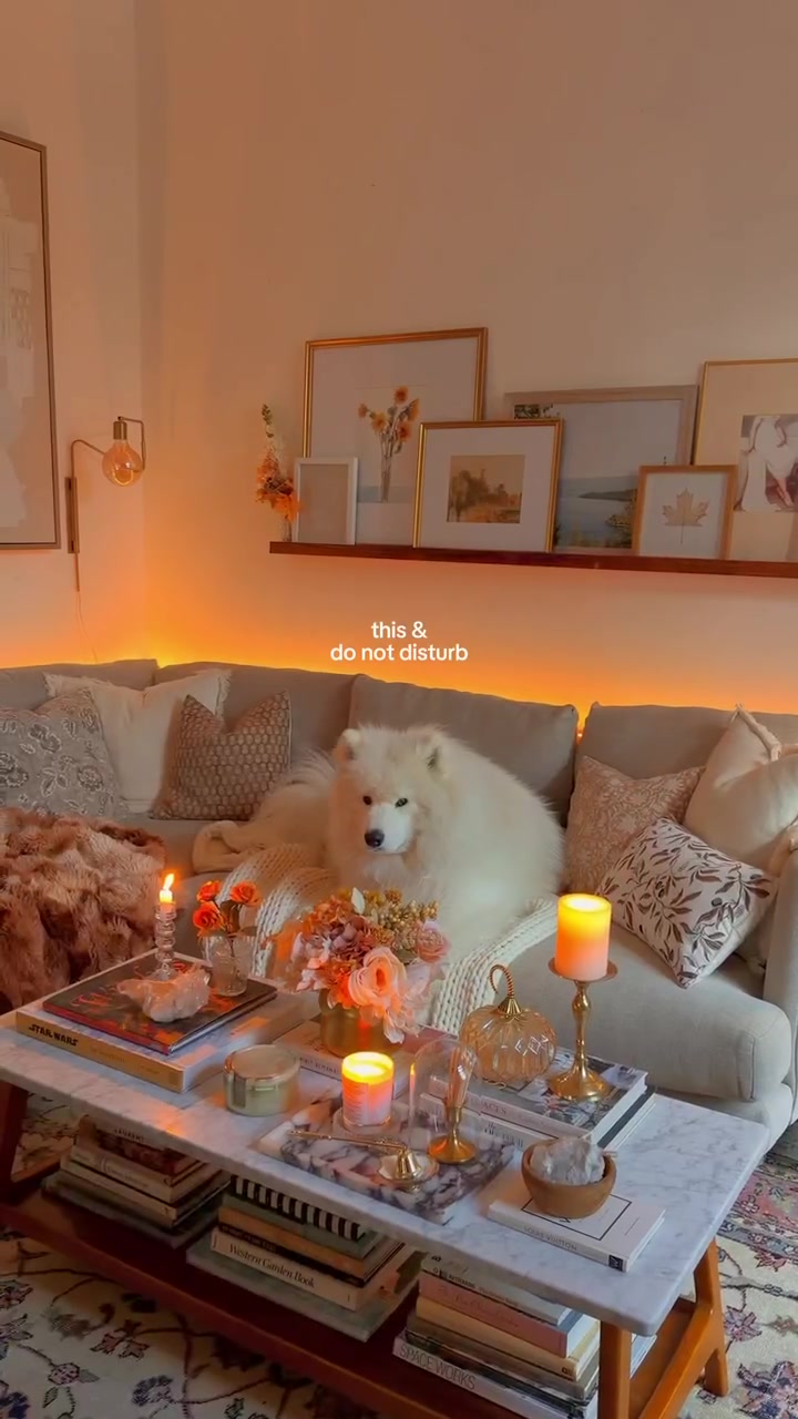@Alex | Home & Lifestyle ✨🕯️🤍