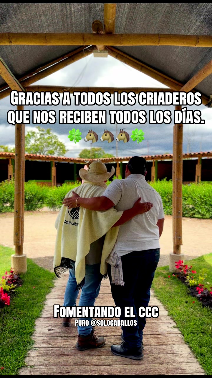 @Solo Caballos