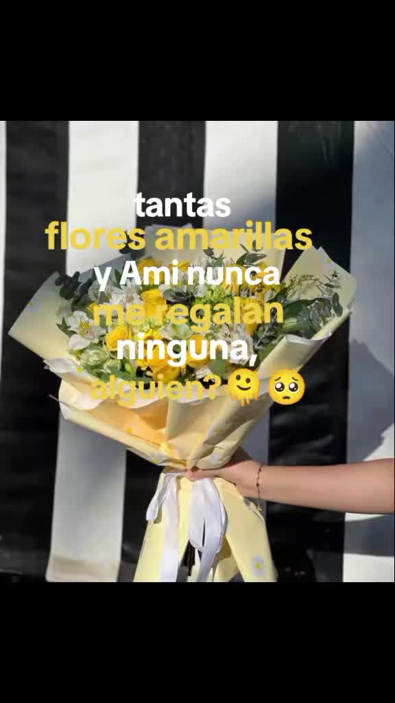 @✿❀Geral❀✿