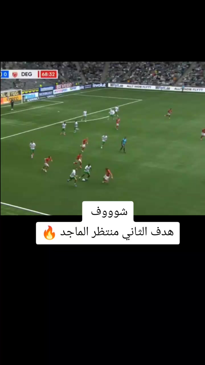 @ملعب البصرة جذع نخلة