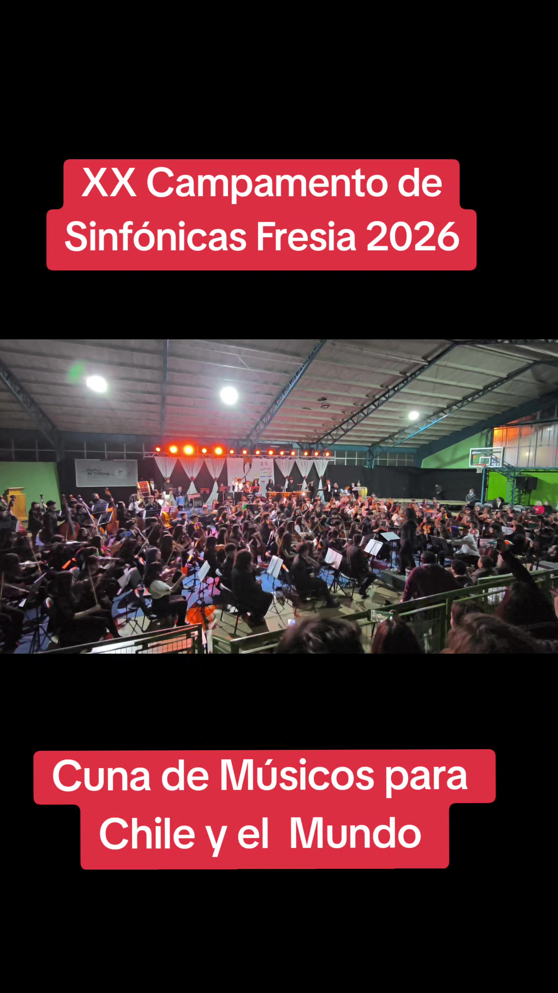 @Patricio Araneda Vidaurre