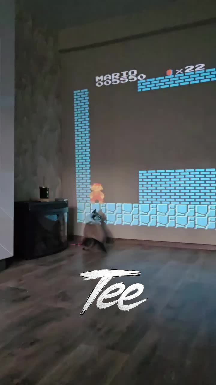 @TEE24S