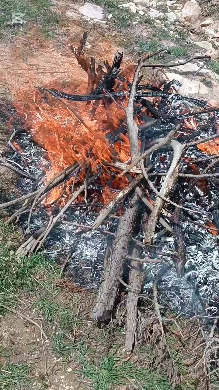 @DAĞCI.46