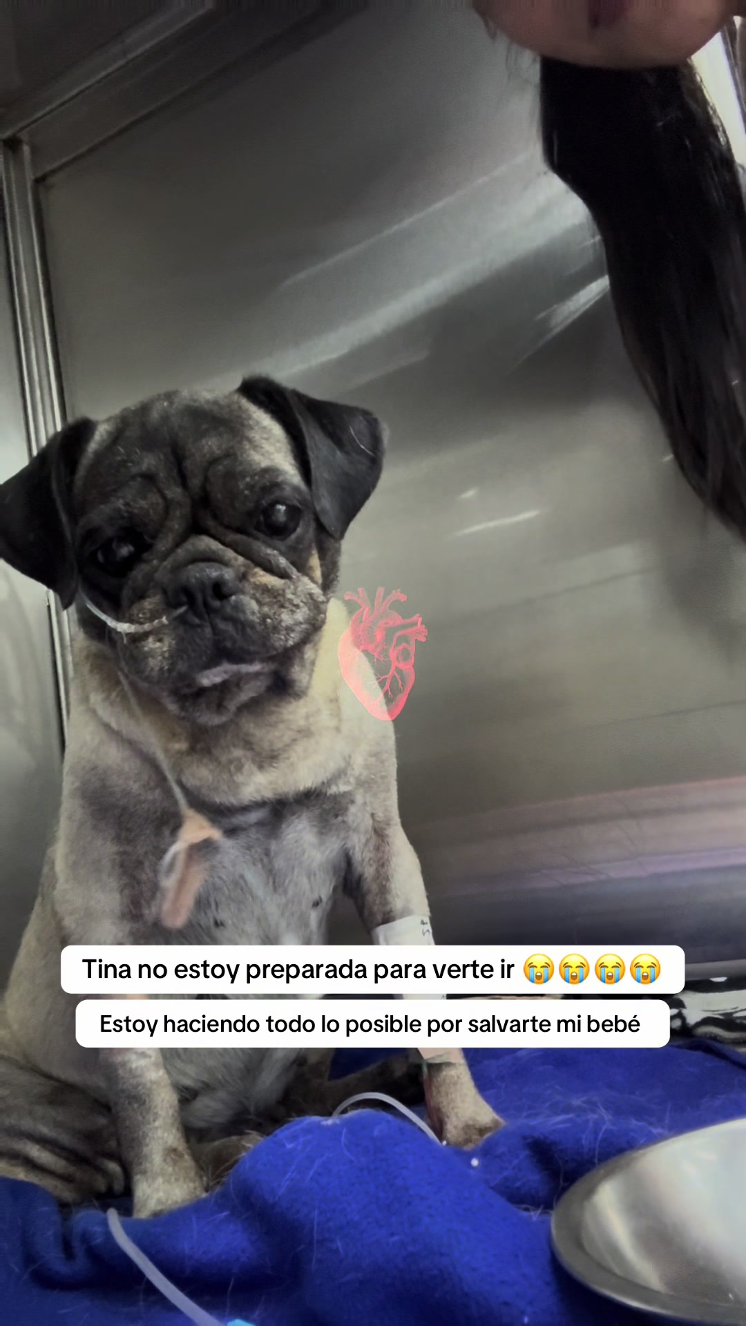 @Mía Rueda