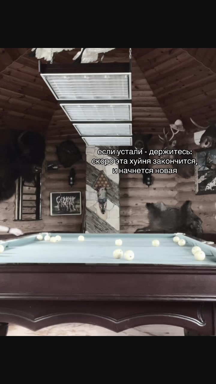 @камиша