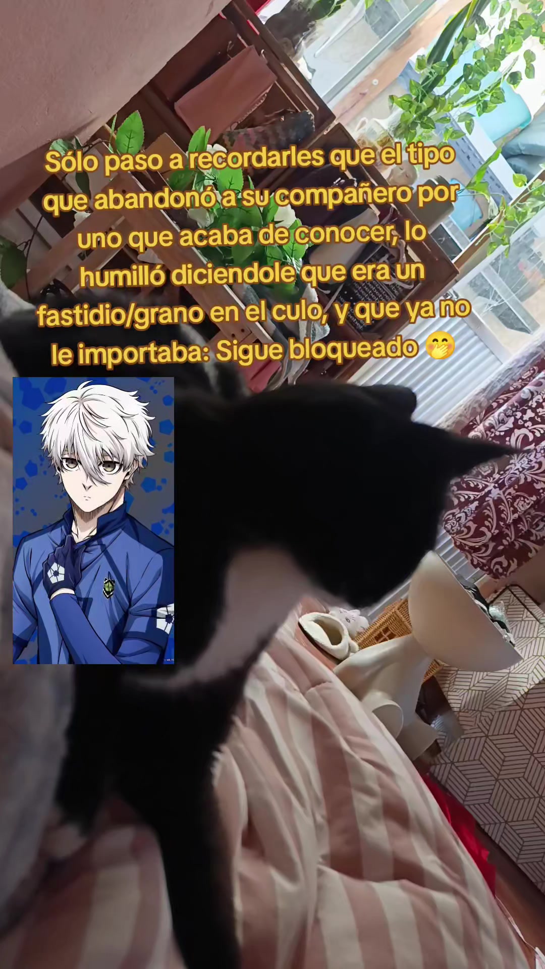 @ArelyHB