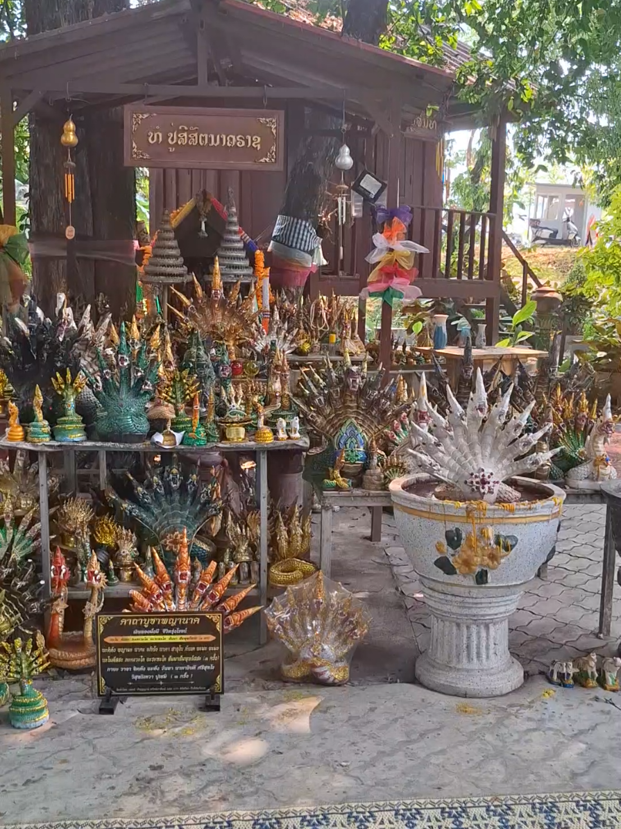 @Fon 🇱🇦